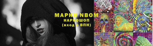 эйфоретик Касимов