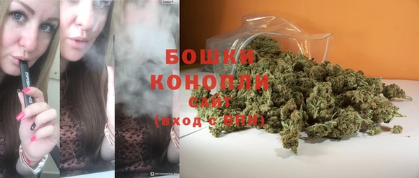 дживик Кинешма