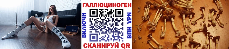 купить  цена  Якутск  Галлюциногенные грибы ЛСД 