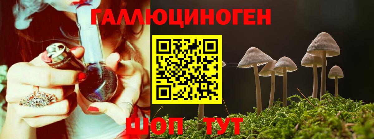 Галлюциногенные грибы Psilocybine cubensis  Вход с VPN  Якутск 
